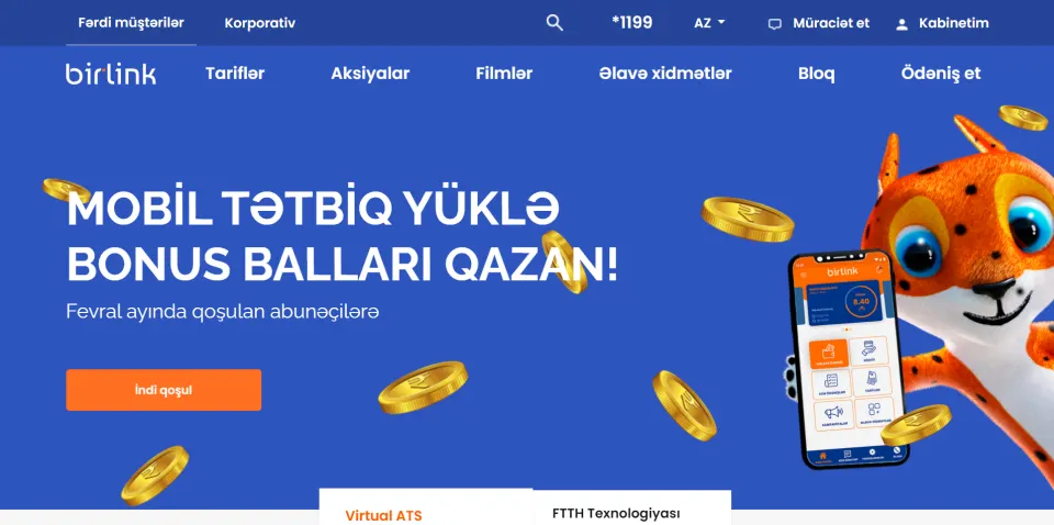Birlink